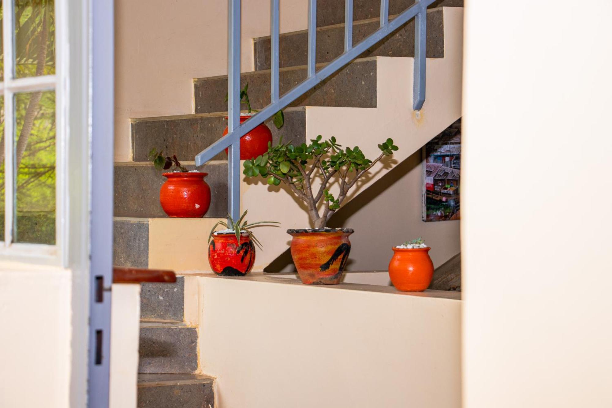 Acacia Tree Lodge Ναϊρόμπι Εξωτερικό φωτογραφία